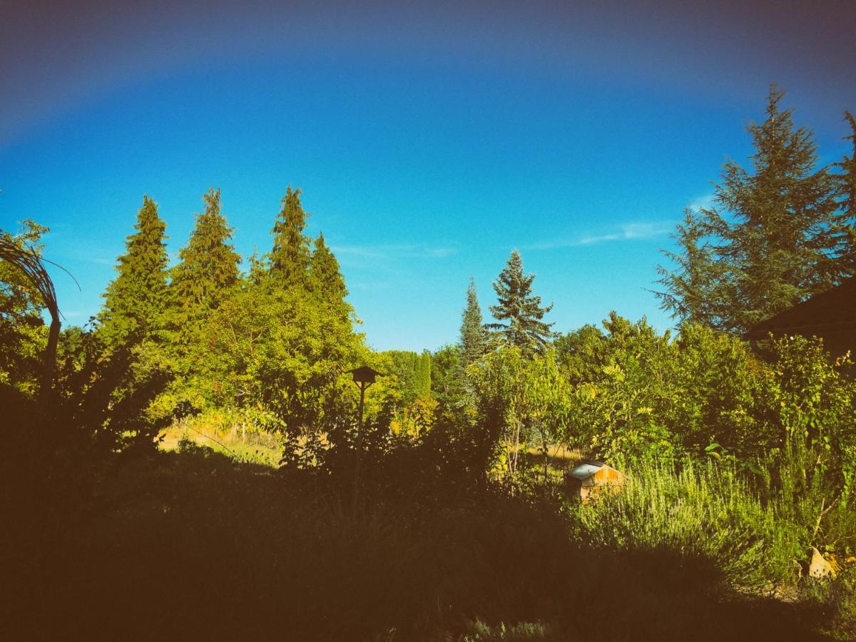 La Montagne Sud Bed and Breakfast Allemans Buitenkant foto