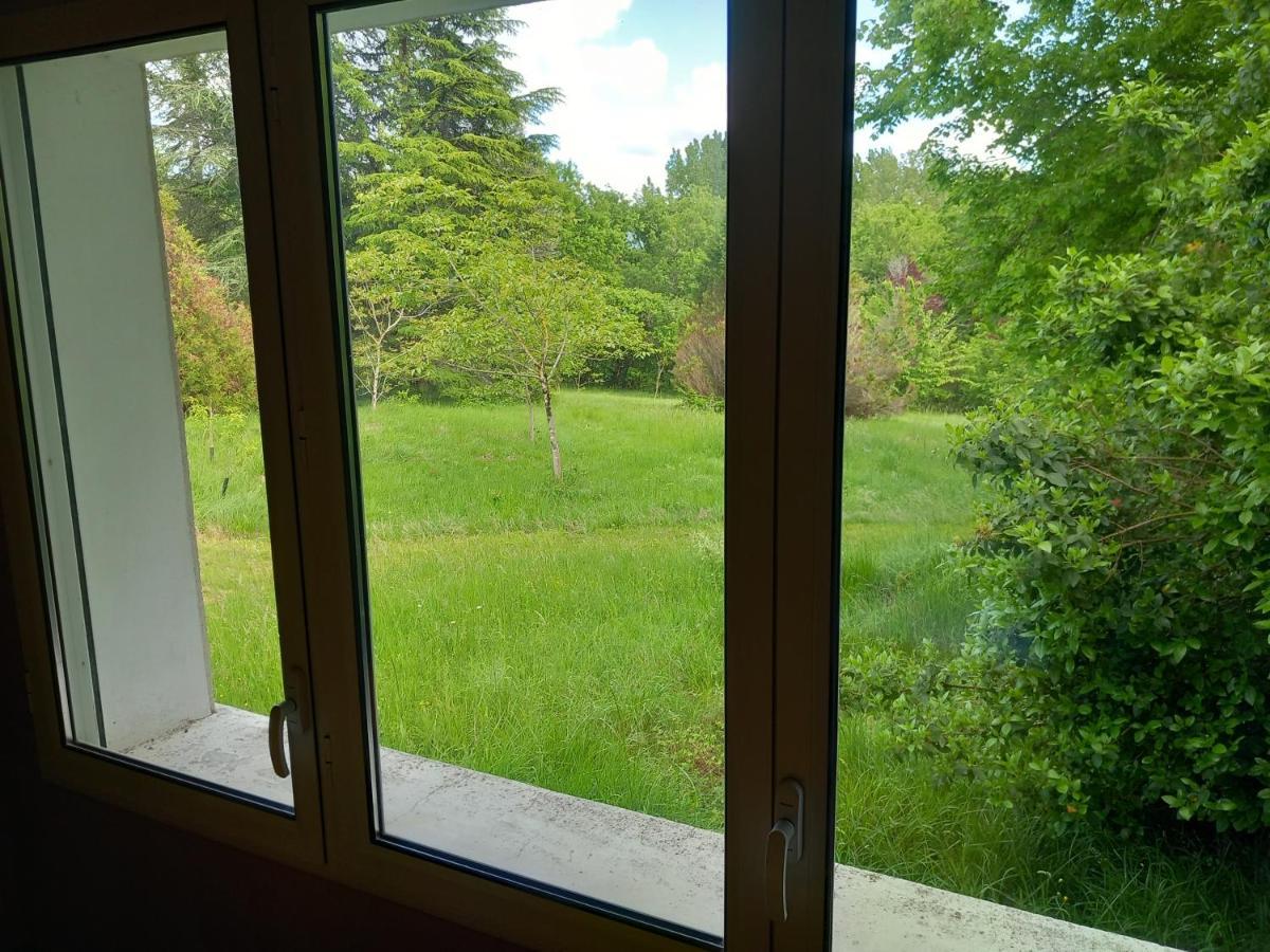 La Montagne Sud Bed and Breakfast Allemans Buitenkant foto